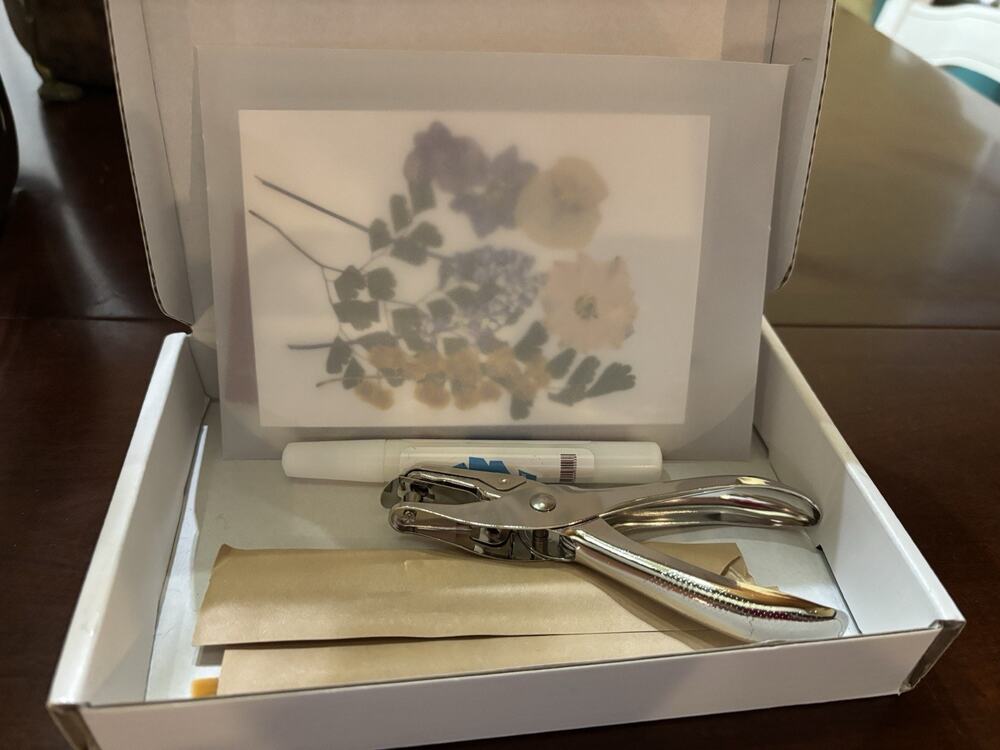 MIAO SIGIL Floral Greeting Card Boxed Set w/ Envelopes, Hole Punch, Glue